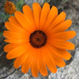 Meet your Posher, Brittney